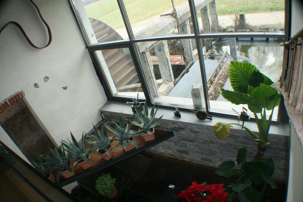 Il Vecchio Mulino Di Bairo Guest House Ngoại thất bức ảnh